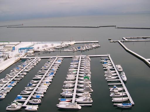 4781.jpg