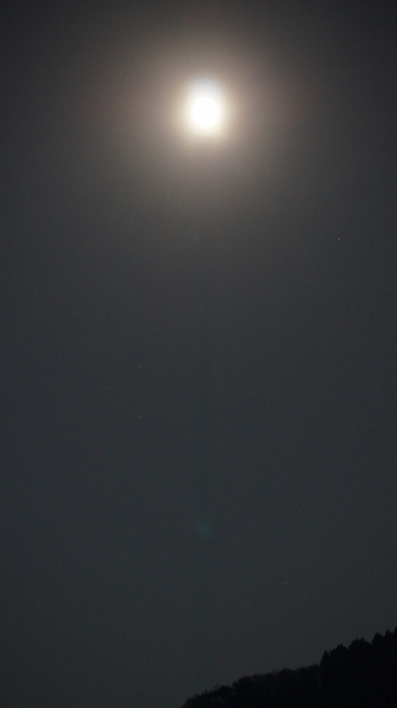 DSC05258 - コピー (359x640).jpg