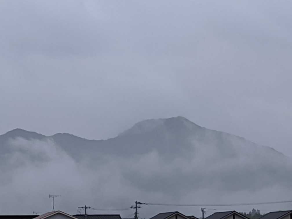 霧雨が落ちてたが、一歩を踏み出した‥‥ | グランパの気ままな菜園生活・家族 - 楽天ブログ