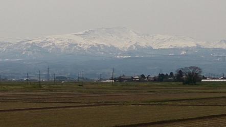 DSC_0018.jpg