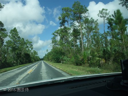 Everglades National Park 20151229-9