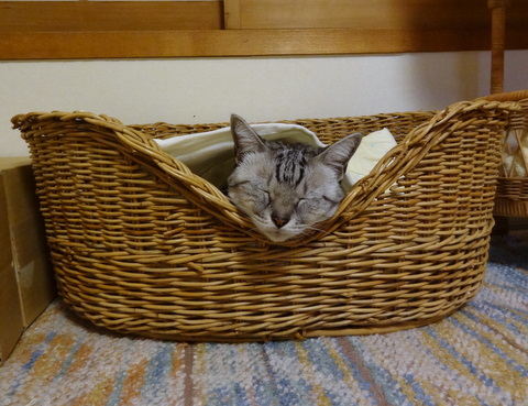 2012100703