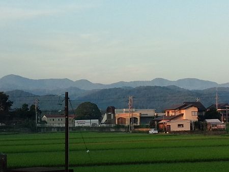 DSC_0279-p.jpg