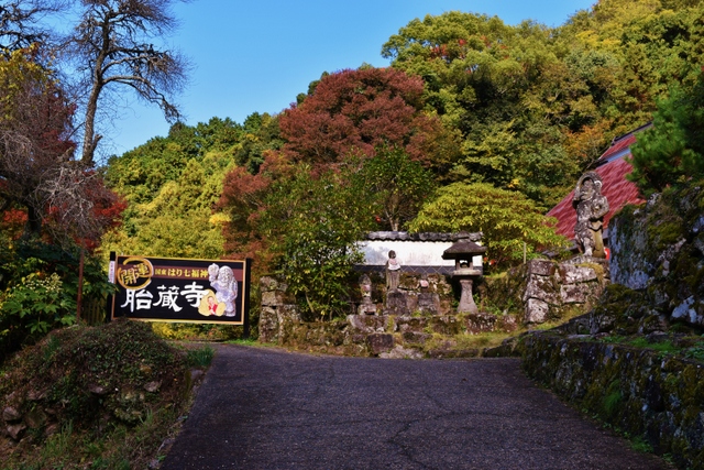 胎蔵寺