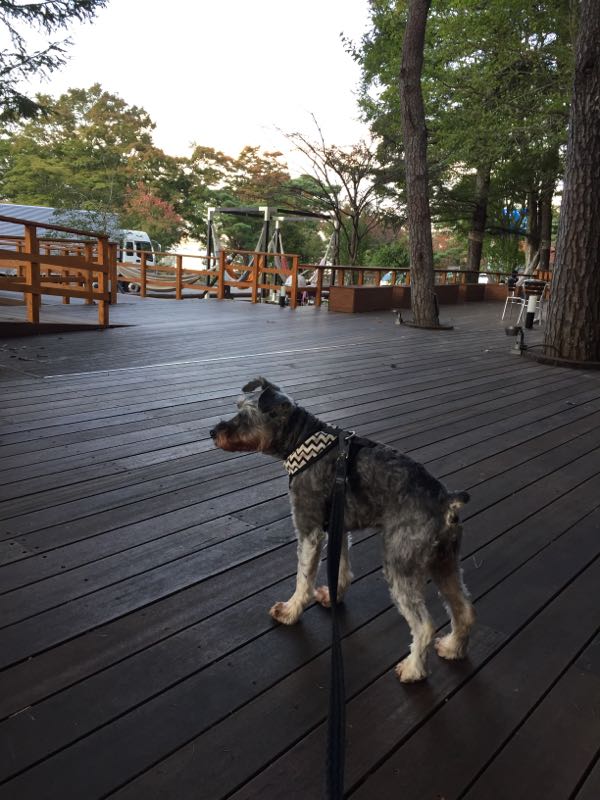 rblog-20161022013140-06.jpg