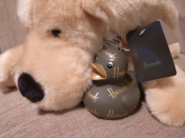 同居人ハロ子-2