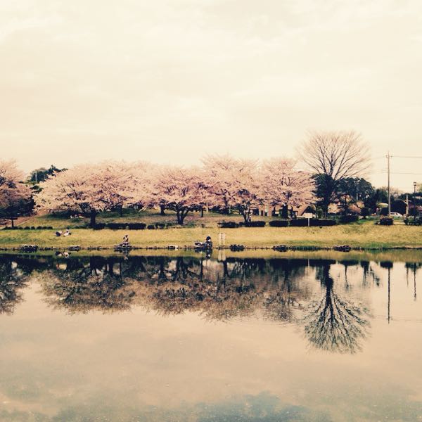 rblog-20150407014352-01.jpg