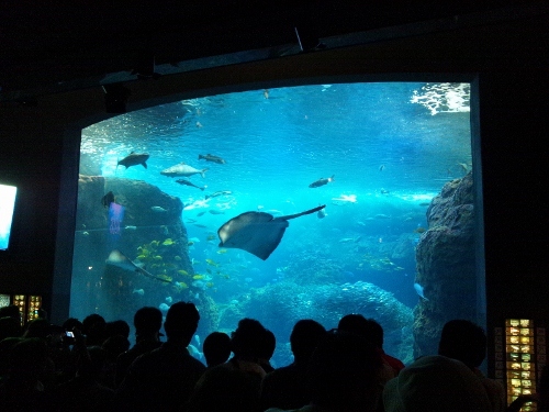 江ノ島水族館