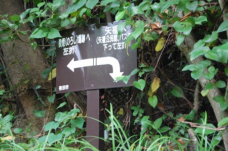 s-DSC_0879.jpg