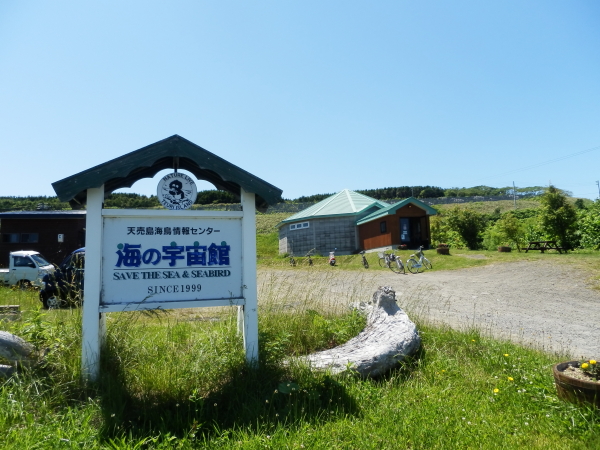 天売島3.JPG