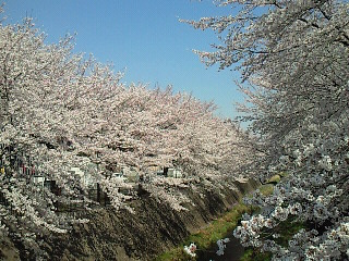 ここはキレイ♪