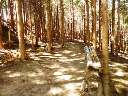 a-P1040691.jpg