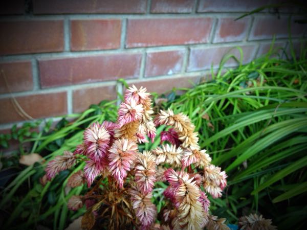 rblog-20141231141248-02.jpg
