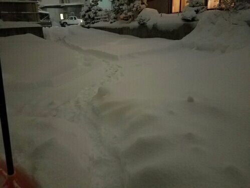 rblog-20170123231000-04.jpg