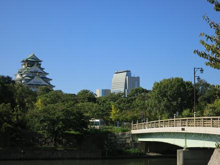 aaa 377.jpg
