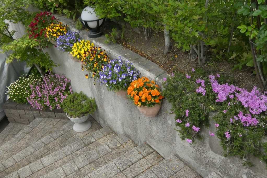 515