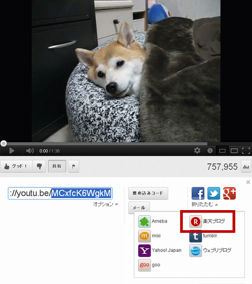 003.png