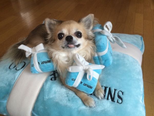 rblog-20160904075810-00.jpg
