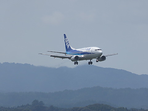 IMG_4687.jpg