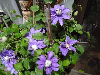 DSC00941.jpg