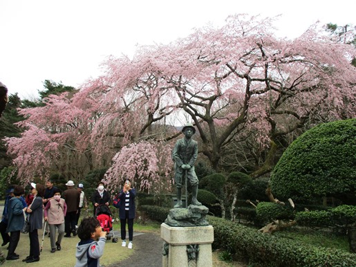 IMG_2256花見ﾌﾞﾛｸﾞ.jpg