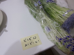 IMG_8287_サイズ変更.JPG