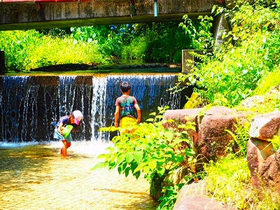 写真_2.jpg