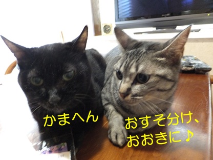 20121001_5.jpg