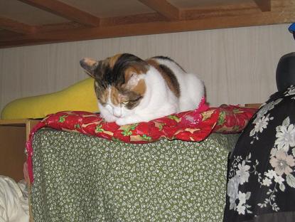 IMG_3118f.JPG