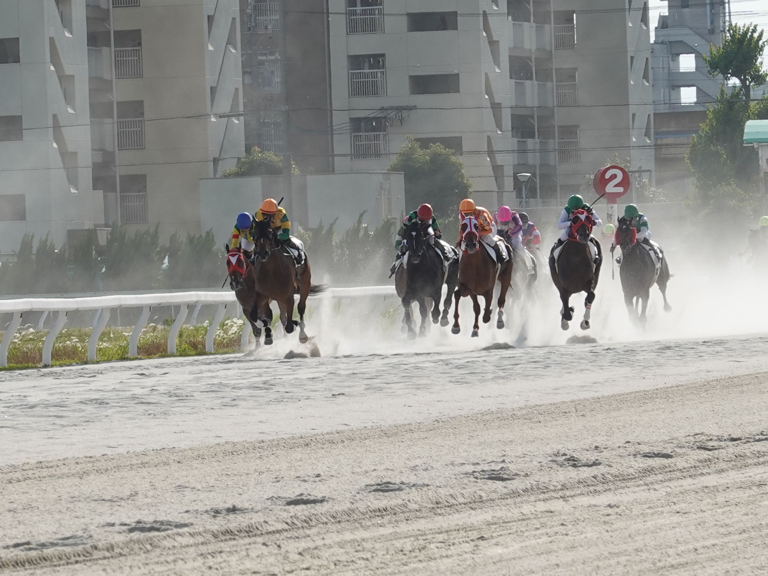 28ページ目の記事一覧 地方競馬の楽天競馬 日替わりライターブログ 楽天ブログ