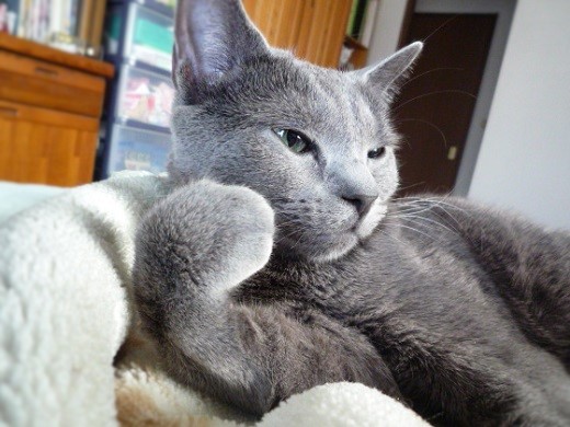 P1230584 - コピー (2).JPG