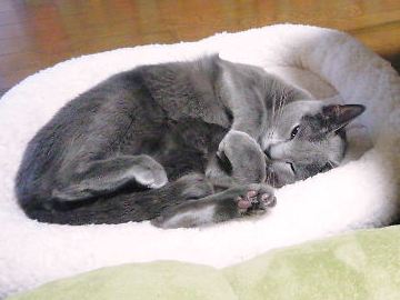 2014年12月10日_P1210247.jpg
