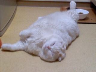 170509_1157~03.jpg