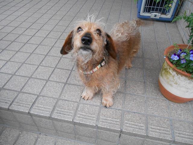 DSCN0438.JPG