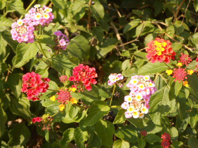 DSCN0574.JPG