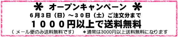 送料無料