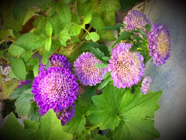 rblog-20151025172038-02.jpg