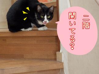 八2回３.JPG