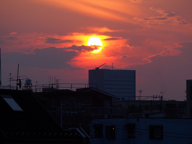 P6210513.jpg