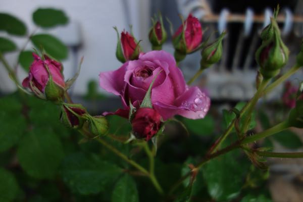 rblog-20180508194218-04.jpg