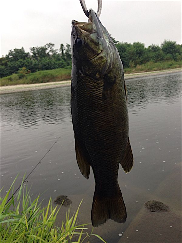 rblog-20140809090211-02.jpg