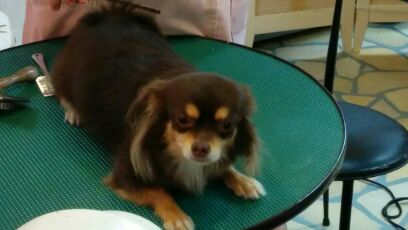 rblog-20141111175428-01.jpg