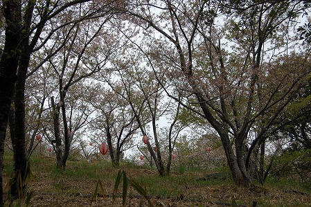 s-DSC_0335.jpg