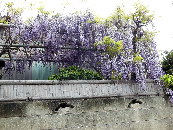DSCN2237.JPG