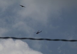 IMG_0434-20.jpg