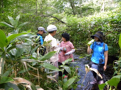 DSCN6278.jpg