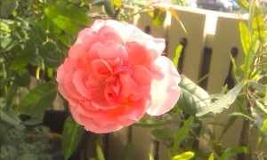 rblog-20131022142330-03.png