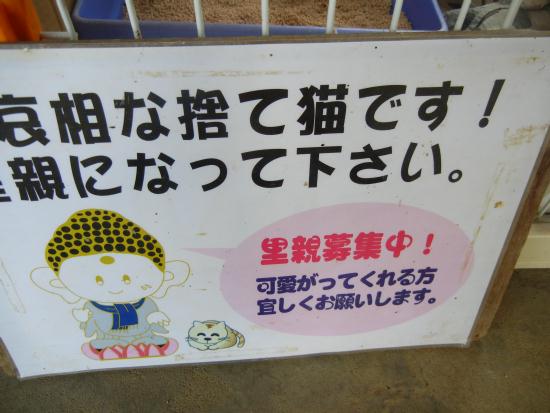 DSCN5997.JPG