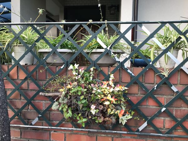 rblog-20180624181630-05.jpg