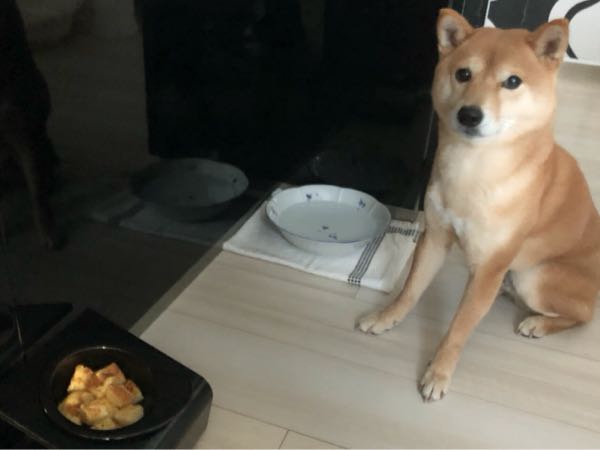 rblog-20180112090231-03.jpg